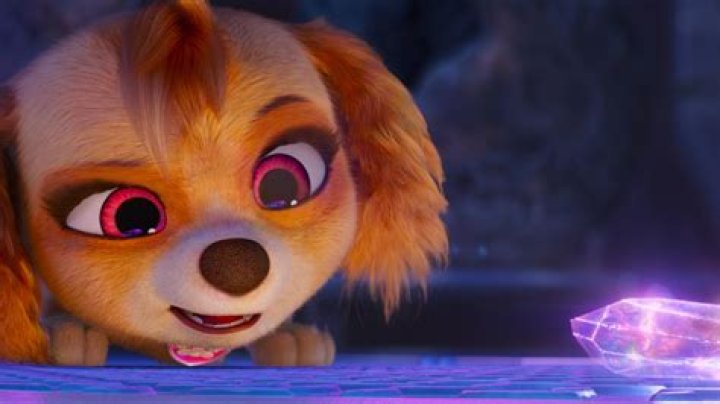 The Perfect PAW Patrol Movie