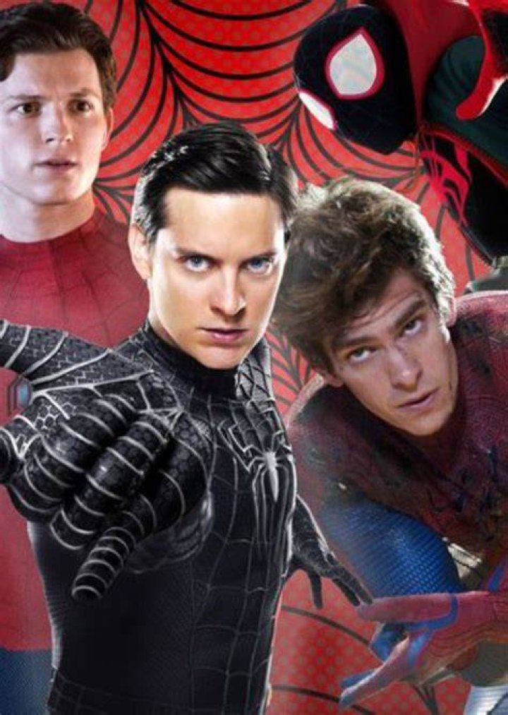 The Perfect Spider-Man Movie Fan Casting on myCast