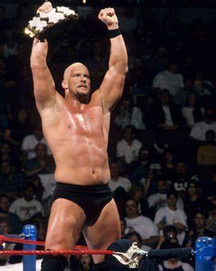 The Ringmaster Million Dollar Champion Raw January 8, 1996 Cropped