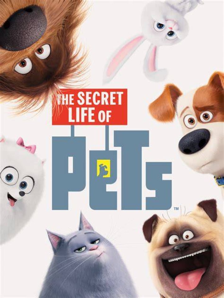 The Secret Life of the American Teenager