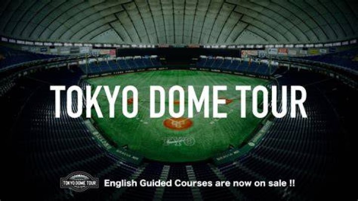 The Tokyo dome in Showdown: Legends of Wrestling