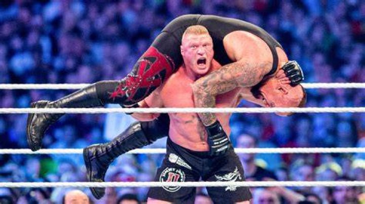The Undertaker v Brock Lesnar SummerSlam 2015 Cropped