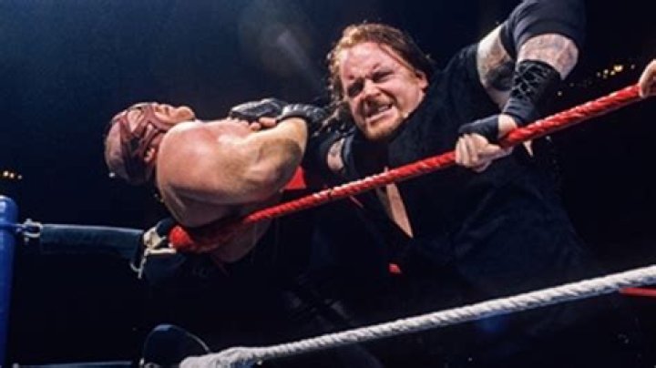 The Undertaker Vs Vader Teams With Steiner Brothers