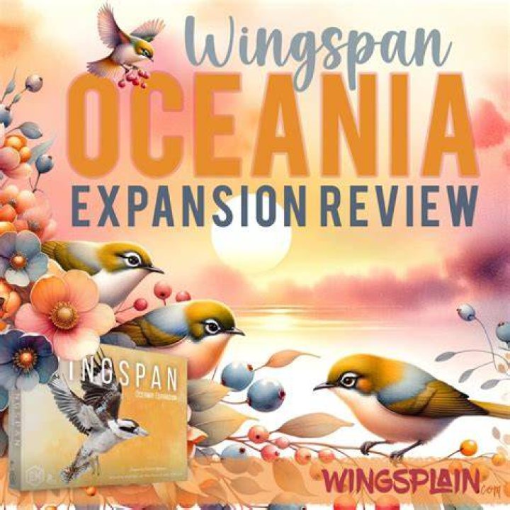 The Wingspan Sean O&rsquo;Connor
