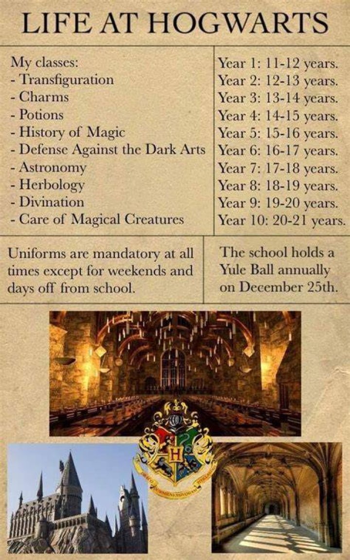 The Year Hogwarts Was Taken
