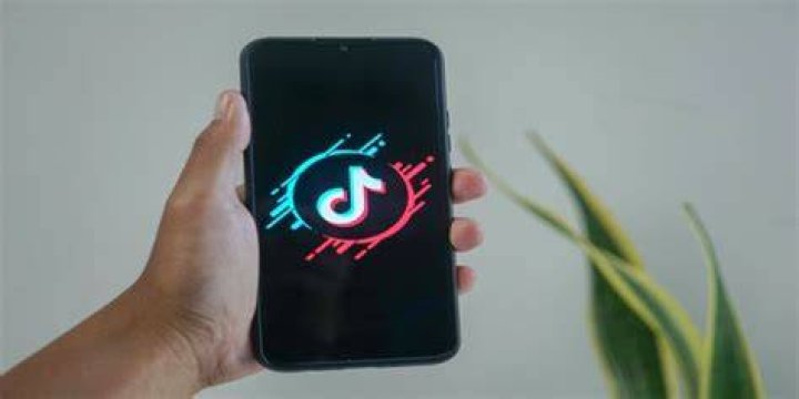 TikTok: A Social Media Phenomenon On The Rise.