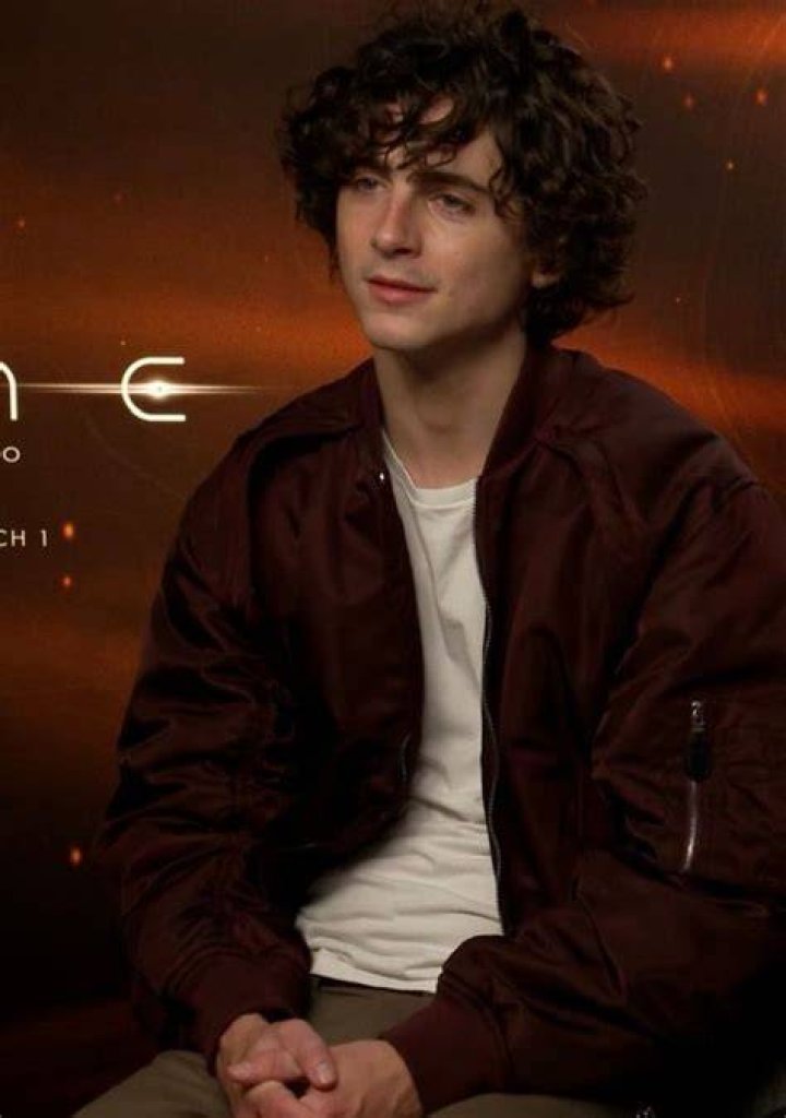 Timothèe chalmet Fan Casting