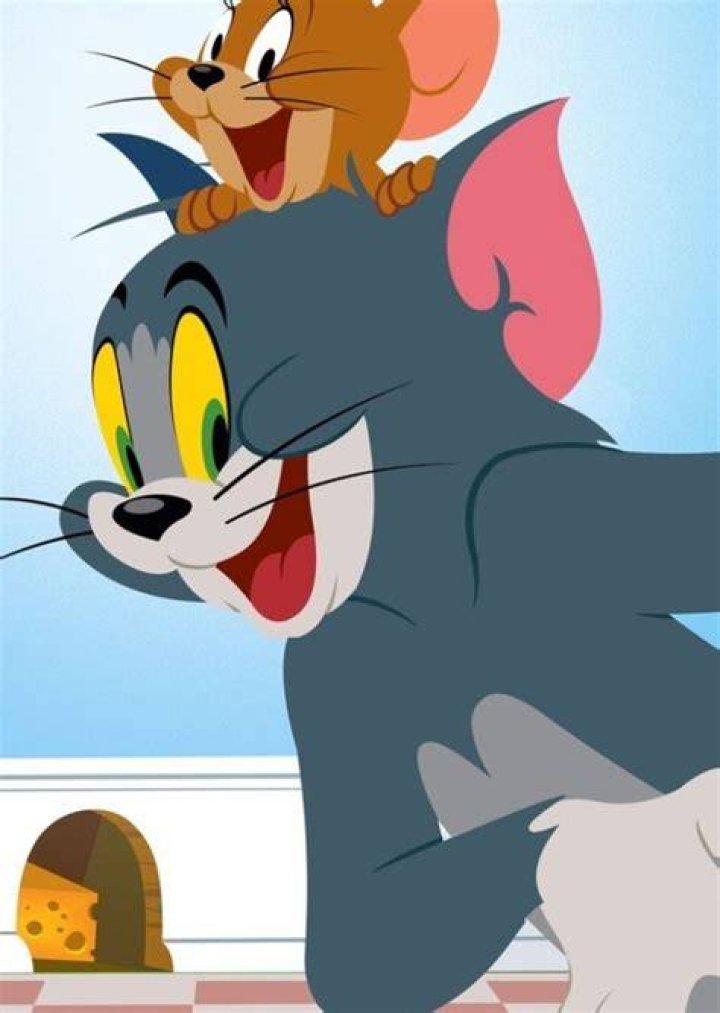 Tom and Jerry Fan Casting on myCast