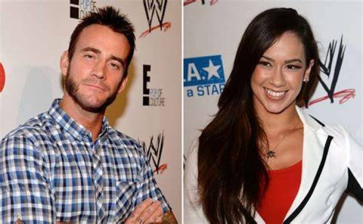 Top 15 Things You Didn't Know About CM Punk And AJ Lee's Relationship