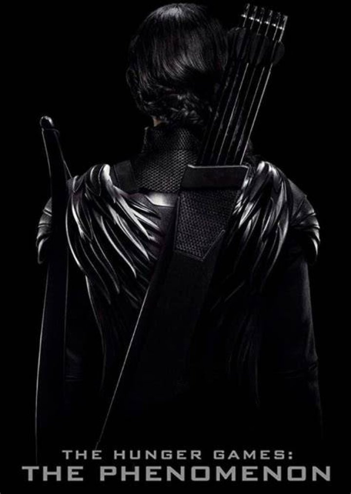 Tribute Boy District 6 Fan Casting for The Hunger games | myCast