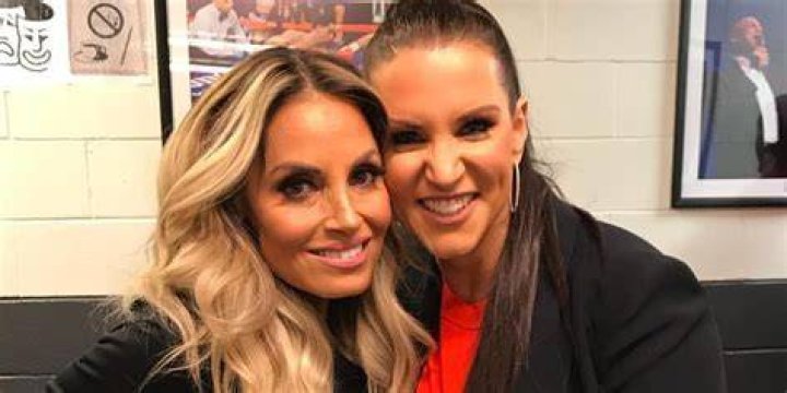 Trish Stratus and Stephanie McMahon brawling