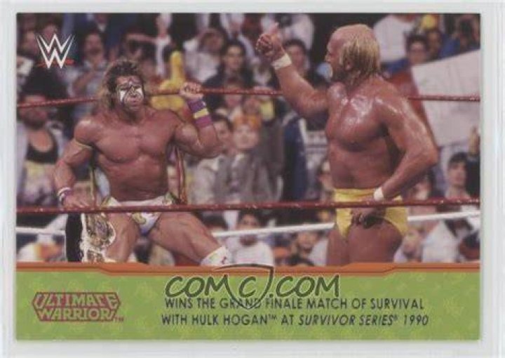 Ultimate Warrior Hulk Hogan Survivor Series 1990