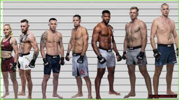 Understanding Conor McGregor: Height And Weight Insights
