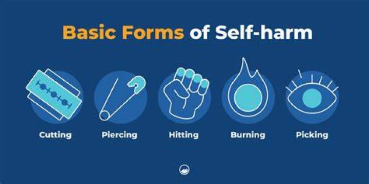 Understanding Cutting and SelfHarming Behaviors Skyland Trail