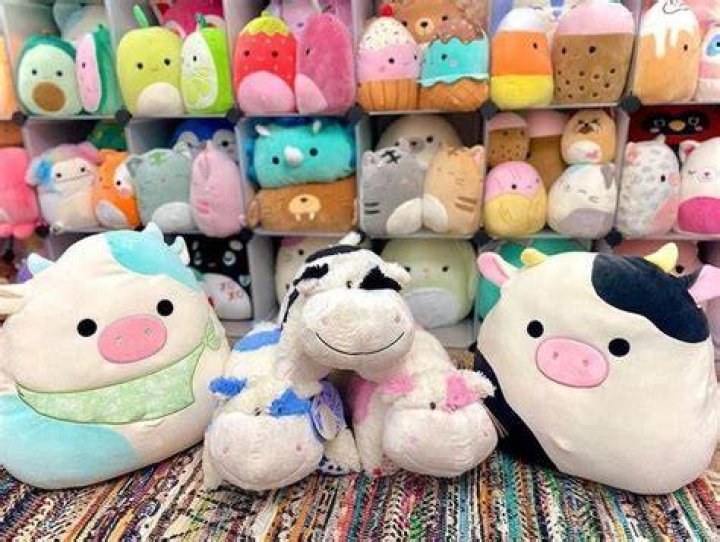Understanding Expensive Squishmallows: The Ultimate Guide
