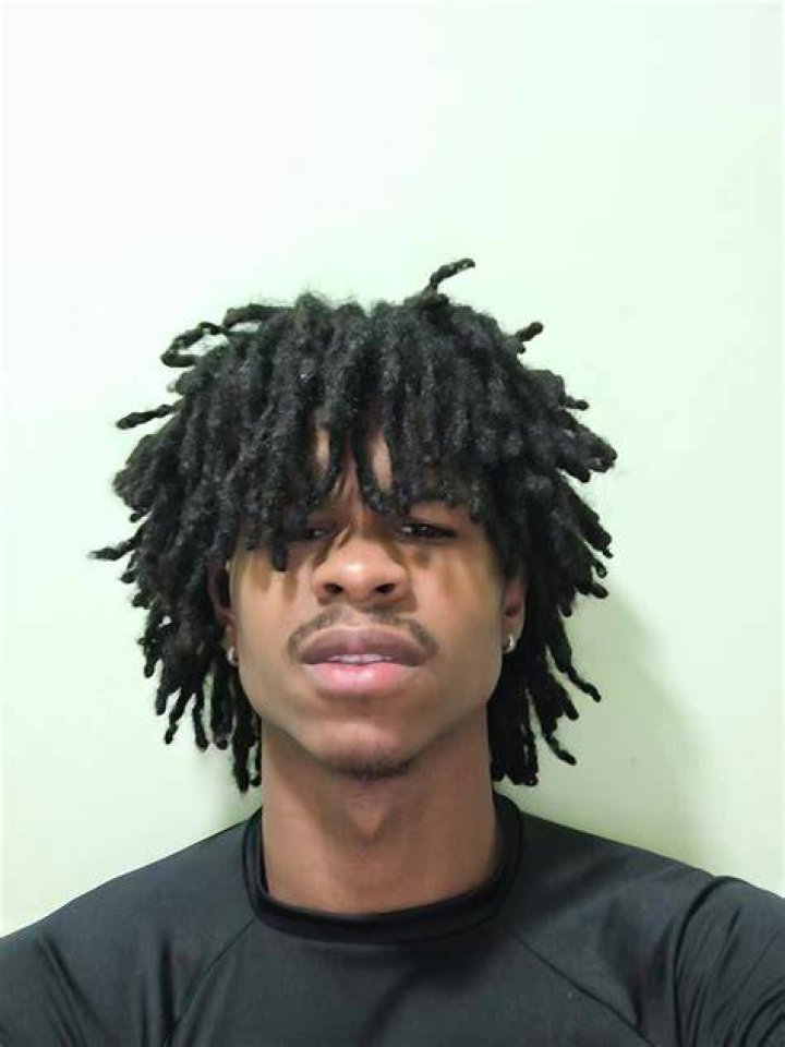 Understanding Freeform Locs: A Comprehensive Guide
