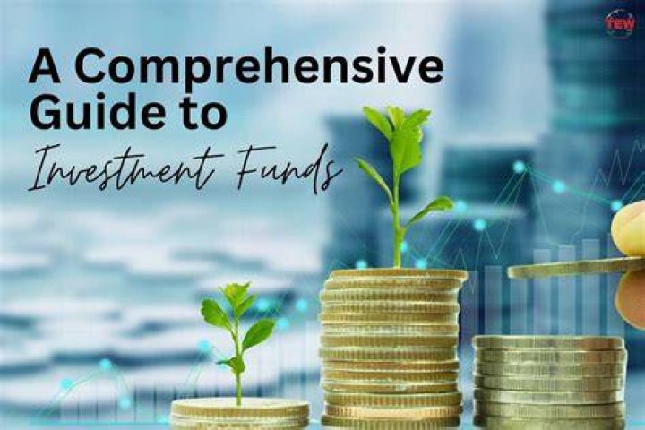 Understanding RiseVest: A Comprehensive Guide To Smart Investment