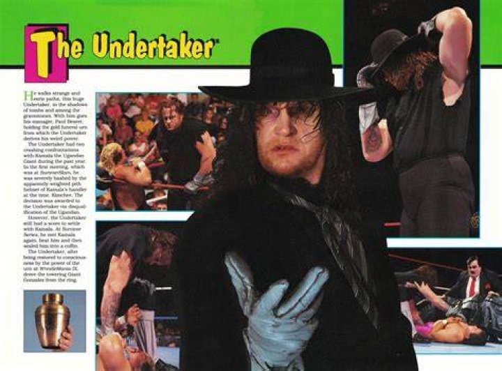 Undertaker 1993