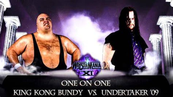 Undertaker v King Kong Bundy WrestleMania 11 Cropped
