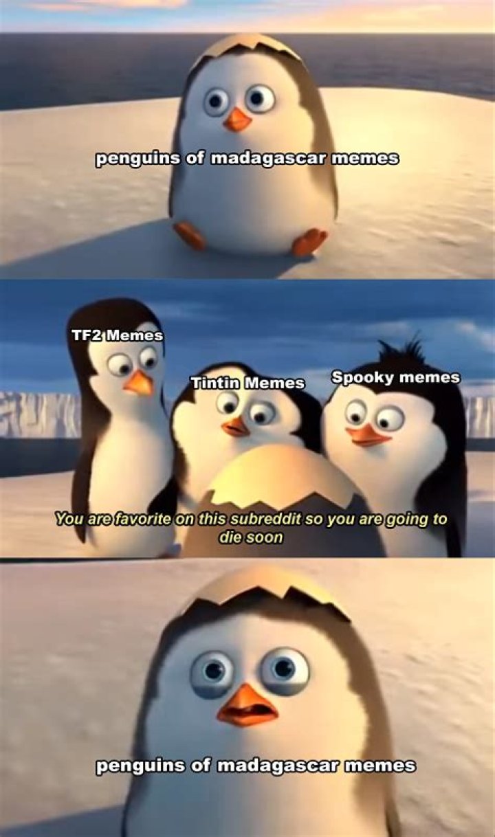 Unraveling The Hilarity Of The Madagascar Penguin Meme