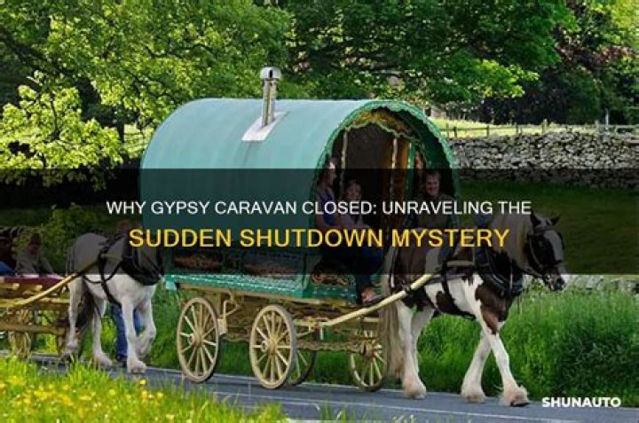 Unraveling The Mystery Surrounding Gypsy Rose's Mom Dead Body