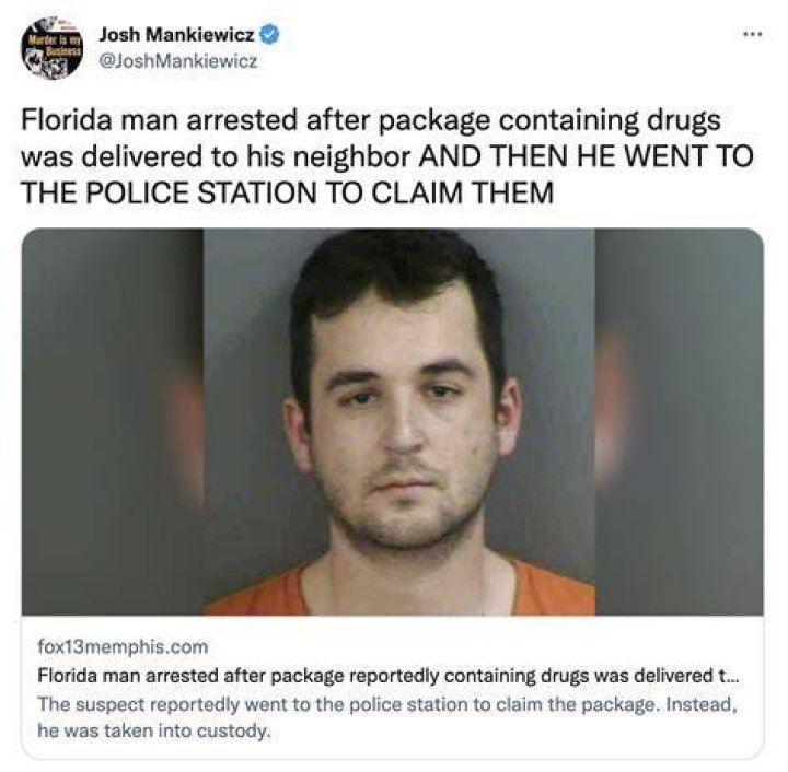 Unraveling The Mystique Of Florida Man: A Glimpse Into November 1 Stories