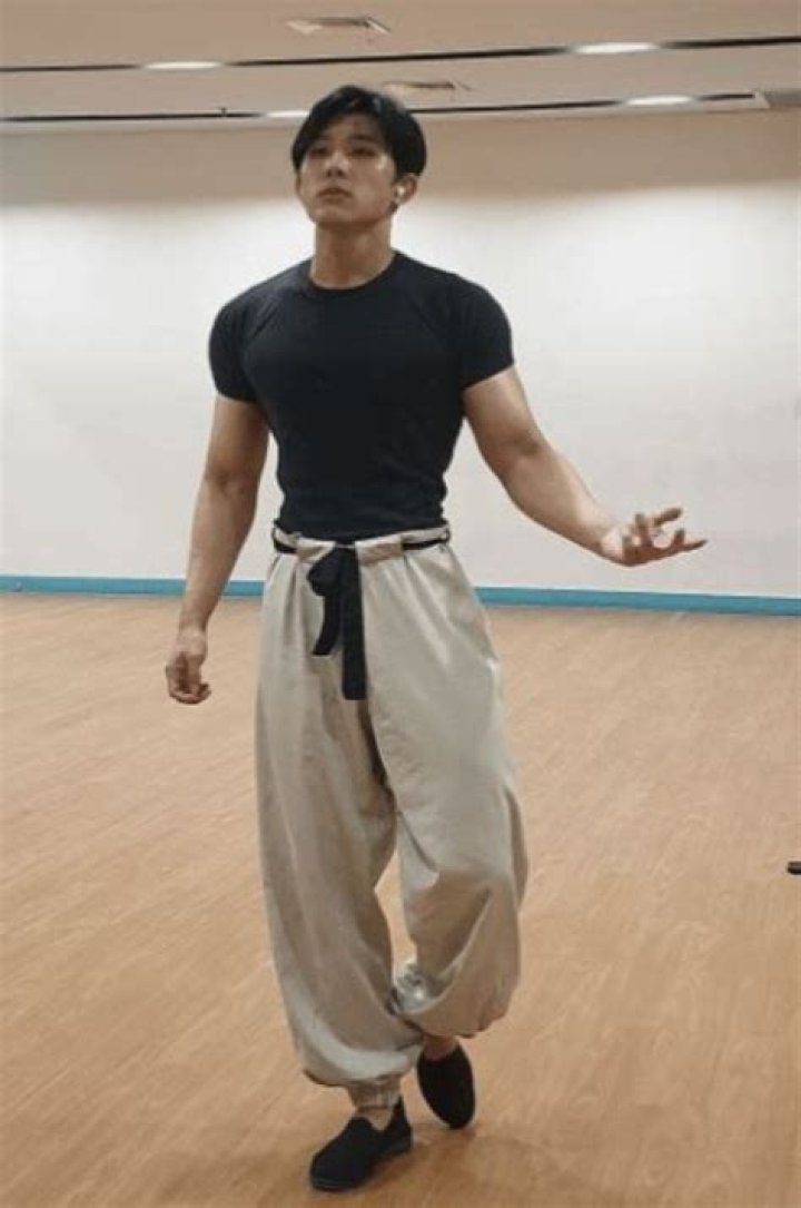 Unraveling The Style And Significance Of Toji Fushiguro Pants