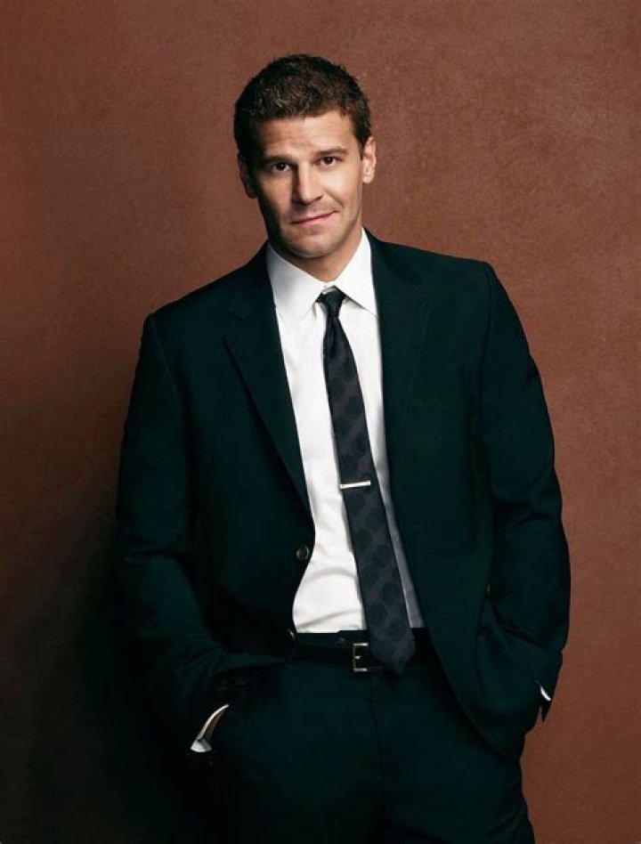 Unveiling The Heart Of David Boreanaz's Family: Secrets And Revelations