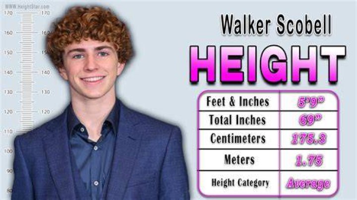 Unveiling The Mystery Of Walker Scobell Height