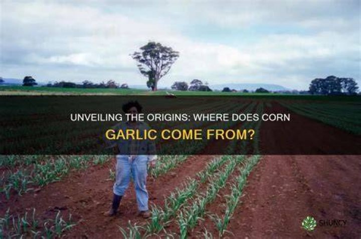 Unveiling The Origins: Where Does God Come From?