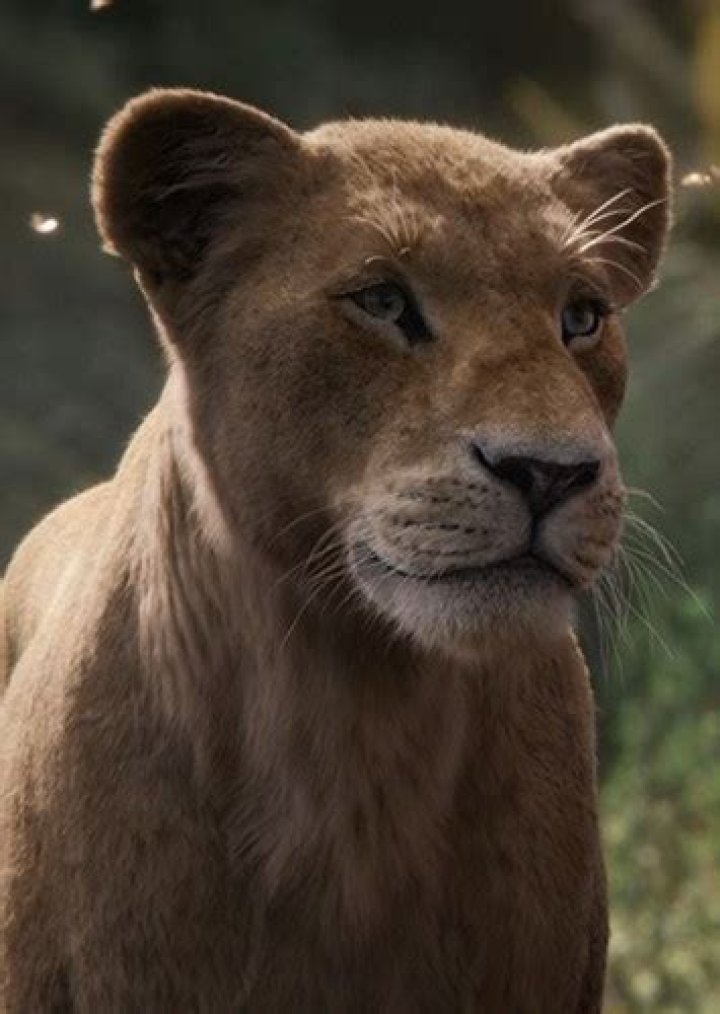 Uru Fan Casting for Mufasa: The Lion King (2024) | myCast
