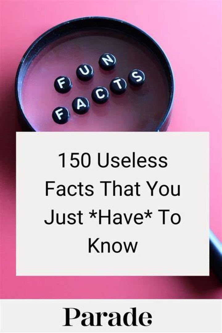 Useless Fact 88 Useless Facts