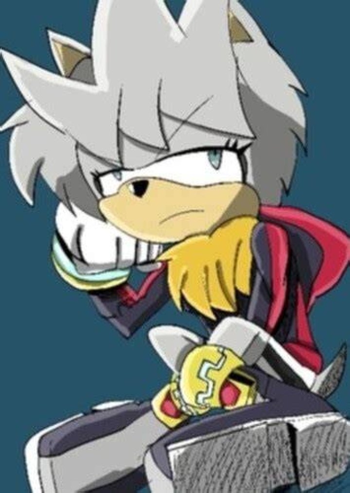 VENICE THE HEDGEHOG Fan Casting