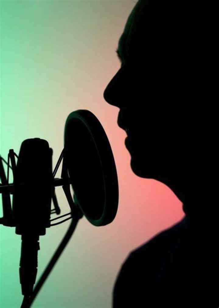 Voice Actor Face Claims 