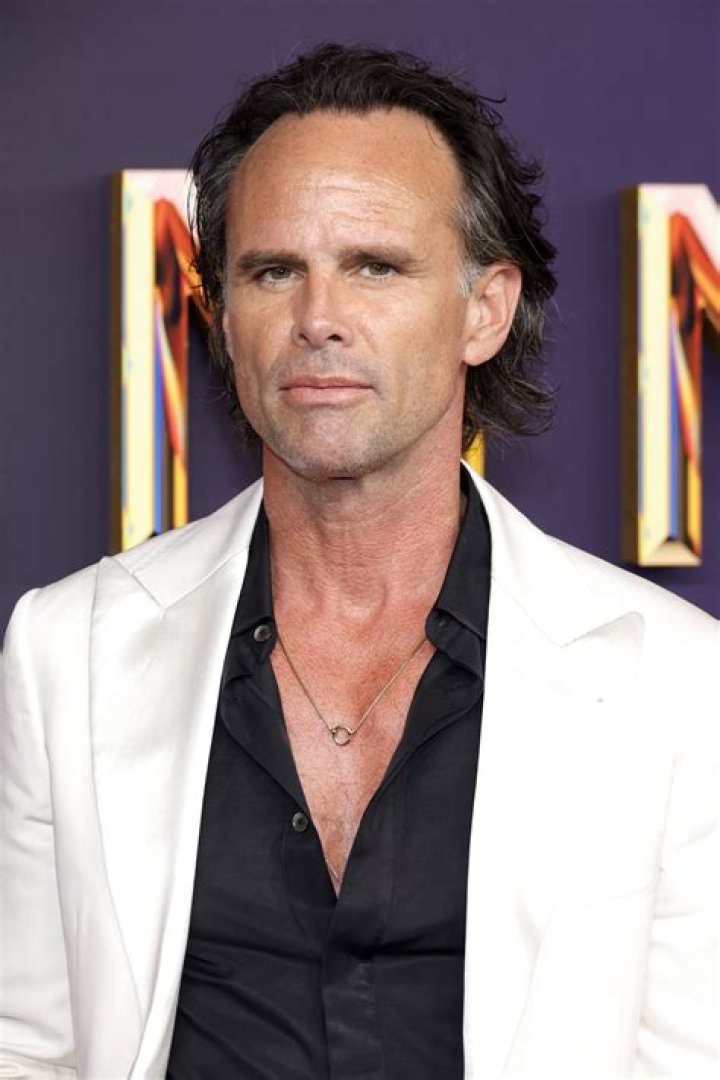 Walton Goggins as Goodnight Robicheaux in The Magnificent Seven (2016)