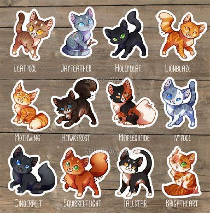 Warriors Graphics Cute cats and dogs, Pretty cats, Warrior cats