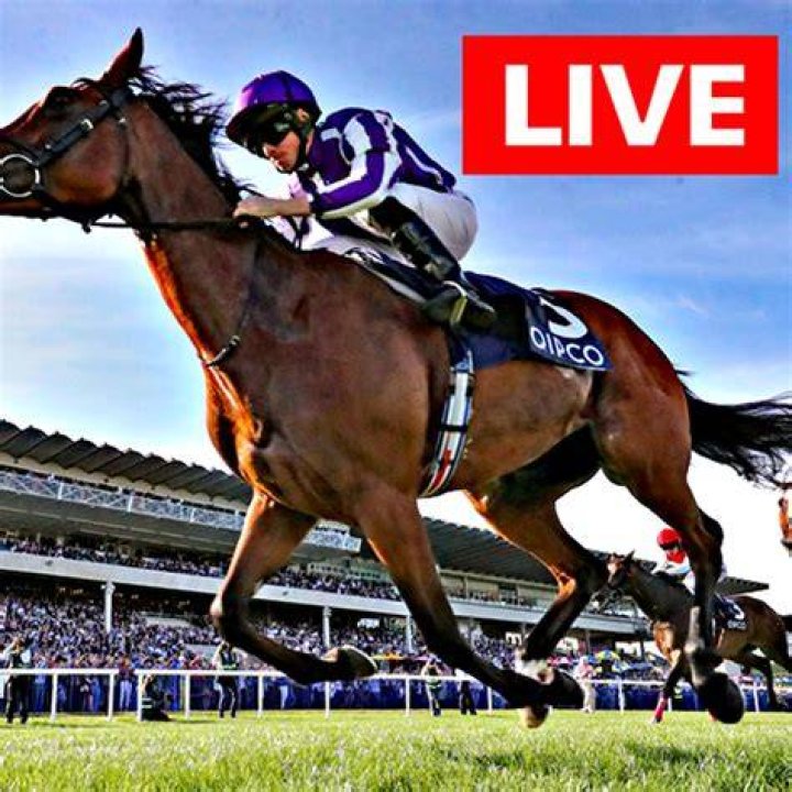 WATCH: Horse Racing Icon Secure Historic Win for Warren Kennedy In the Railway
Stakes