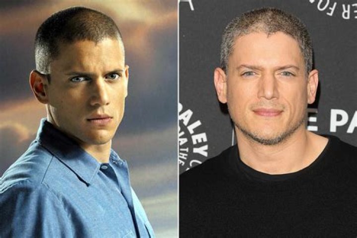 Wentworth Miller's Spouse: The Man Behind The Actor