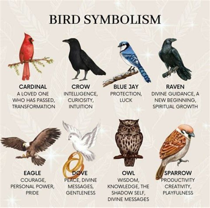 What do birds represent biblically? DIY Seattle