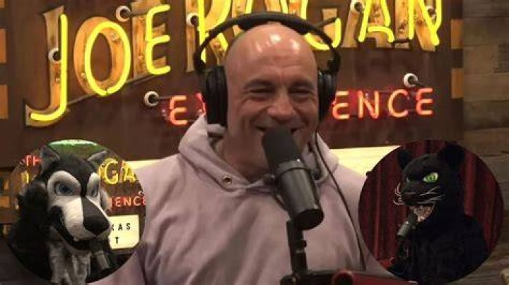 “What in the Hell Is Going On” – 55-Year-Old Joe Rogan Divides the Internet With
‘Furry’ Dress Up for Episode No. 2000 of His Podcast