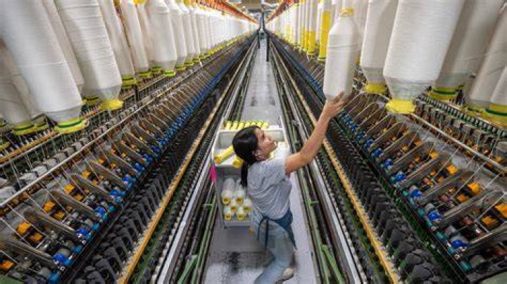 Wikidworld (139) / How Clothes Make the Law John Fetterman's Hoodie