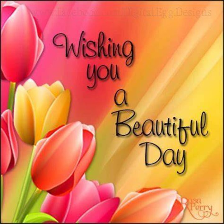 Wish You A Beautiful Day! Happy Wednesday! Pictures, Photos, and Images