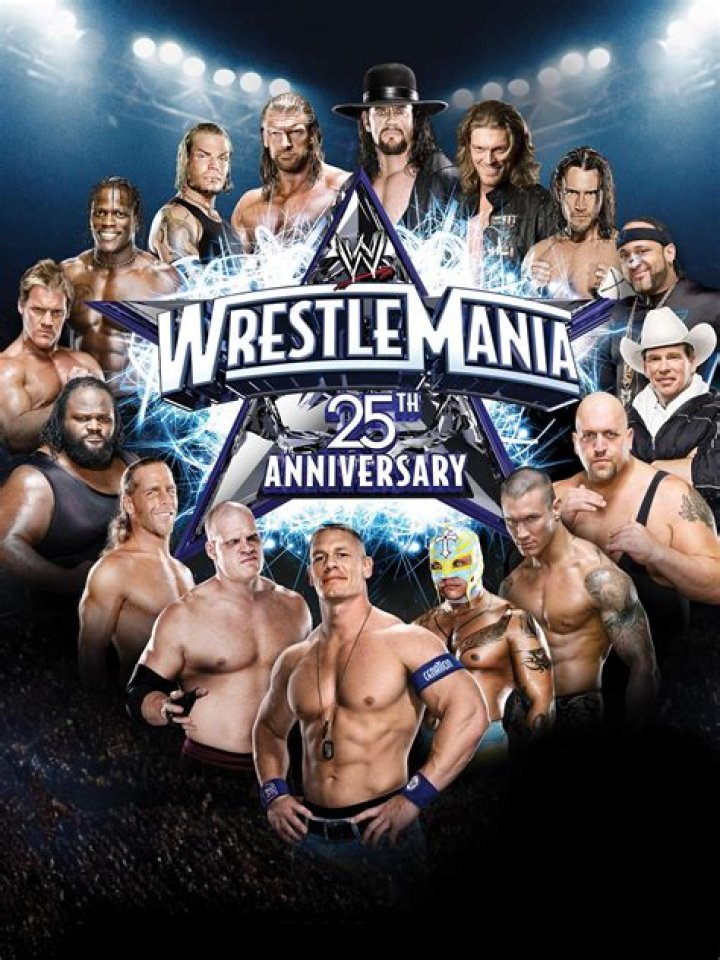 WrestleMania 25 Money in the Bank ladder match