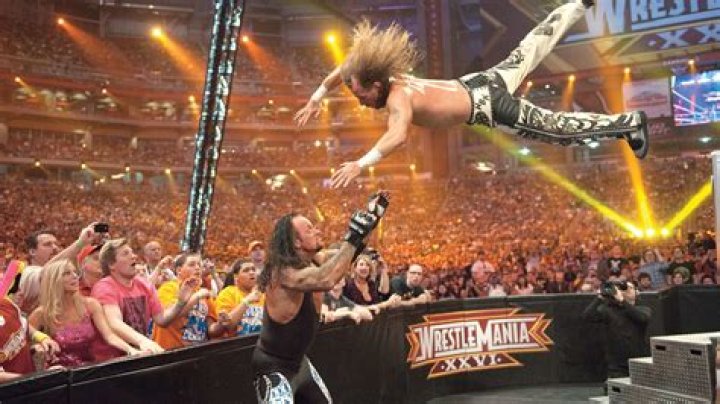 WrestleMania 26 Money In The Bank Ladder Match