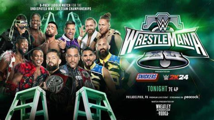WWE Tag Team Championship Ladder Match TLC 2015