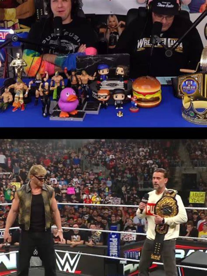 wwe-fans