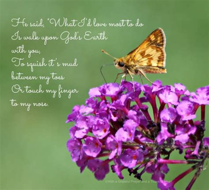 Yesterday a butterfly... Grateful Prayer Thankful Heart