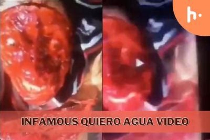 Yo Quiero Agua Gore The Rise Of An Iconic Trend In Modern Culture
